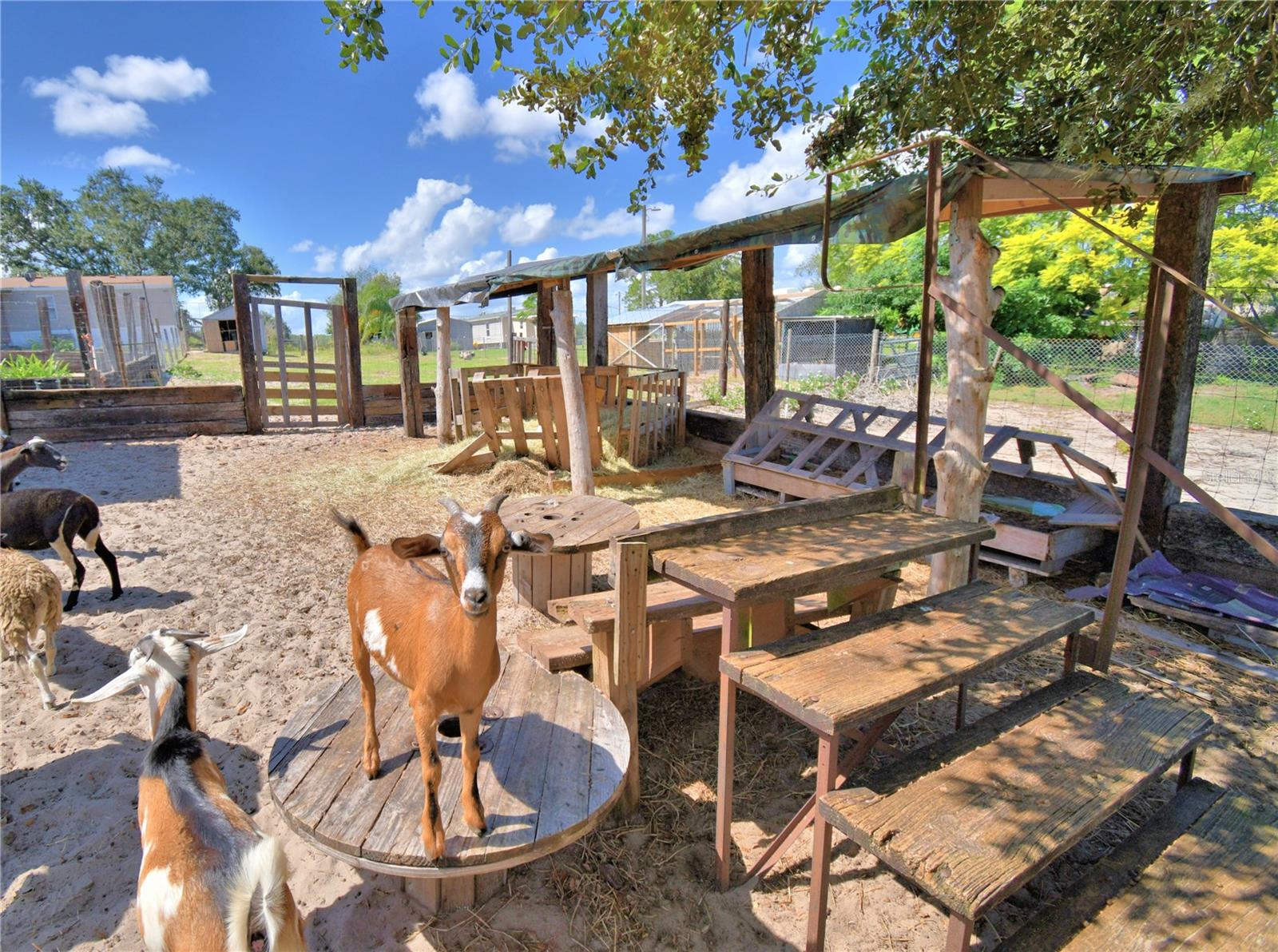 TIGER CREEK GROVES - Residential