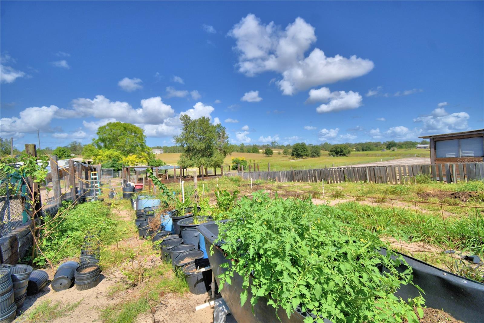 TIGER CREEK GROVES - Residential