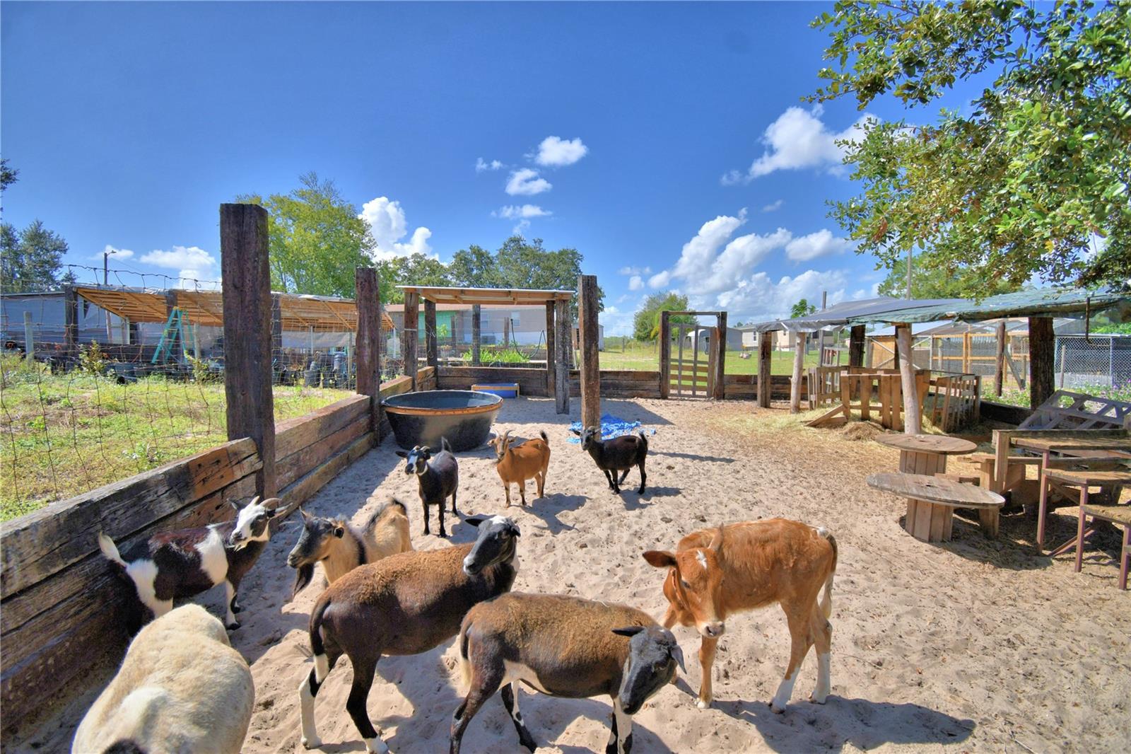 TIGER CREEK GROVES - Residential