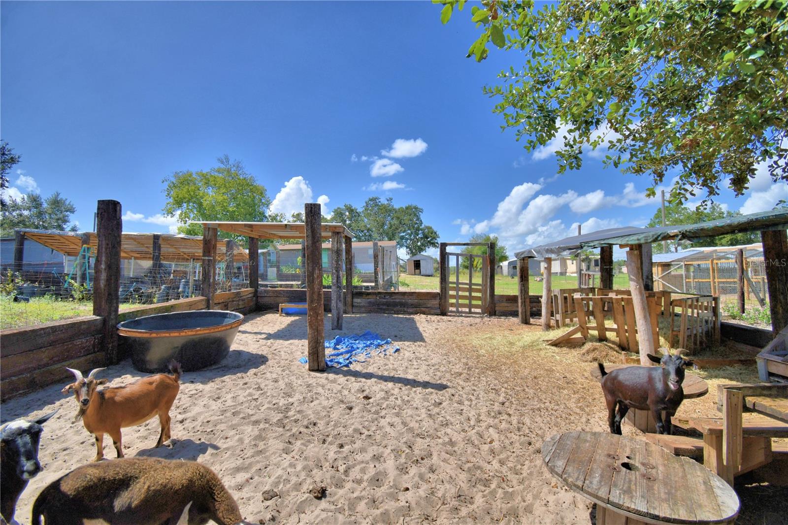 TIGER CREEK GROVES - Residential