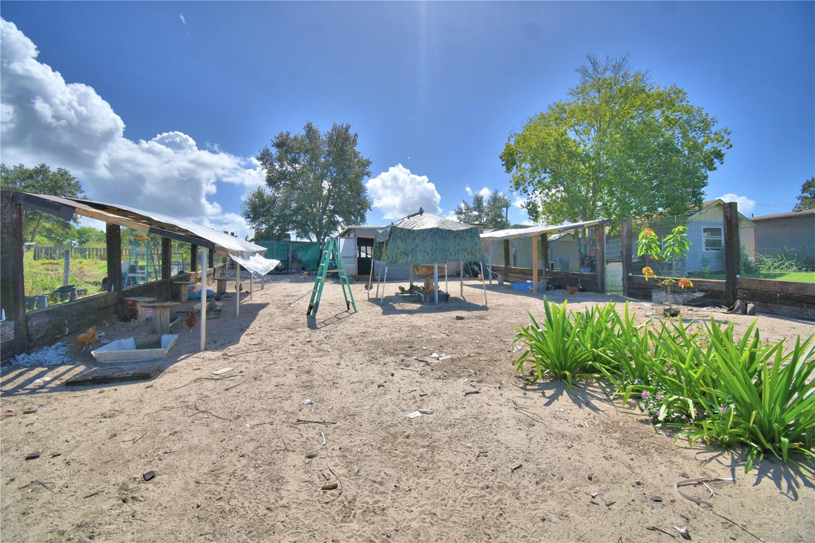 TIGER CREEK GROVES - Residential