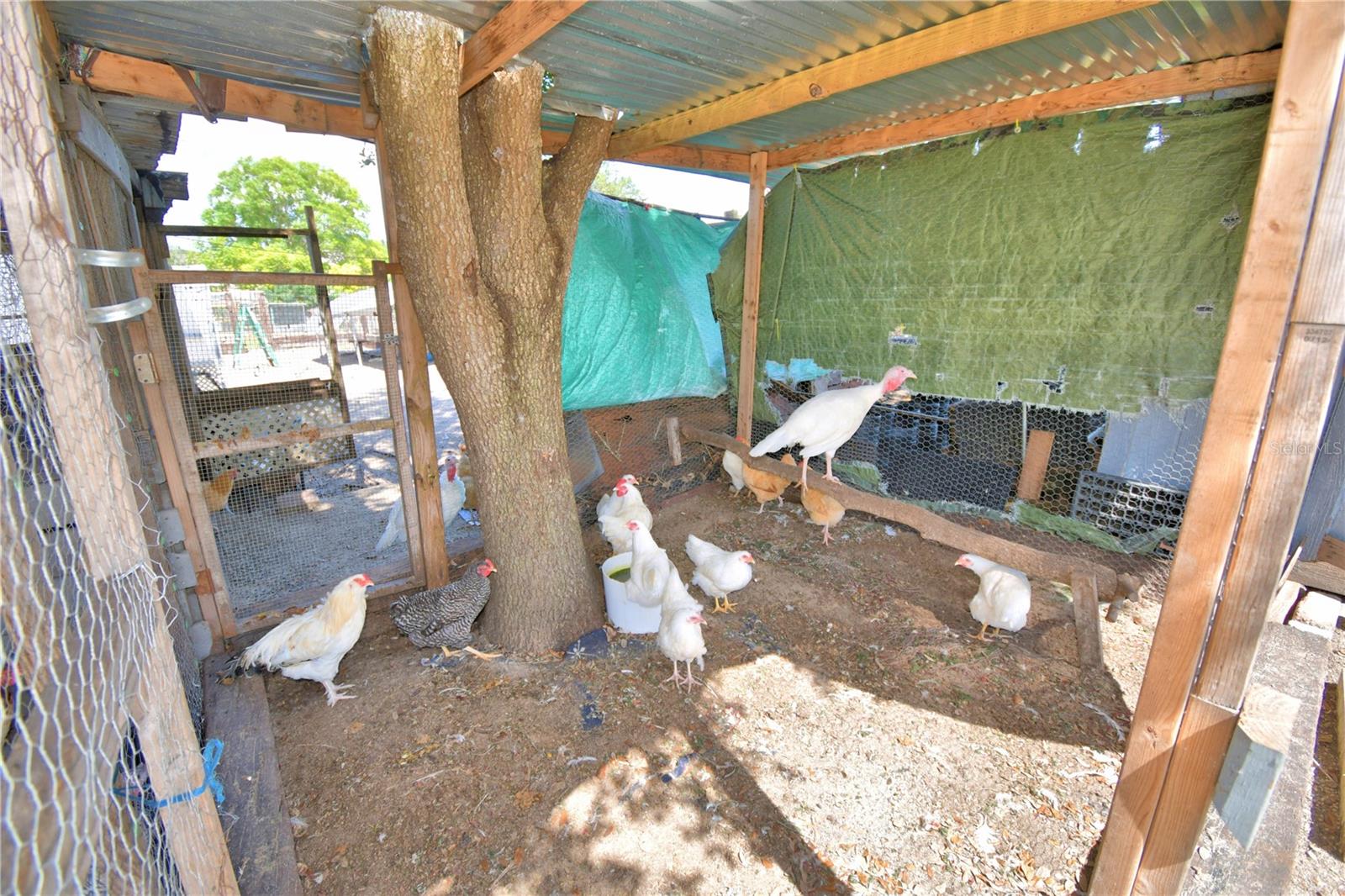 TIGER CREEK GROVES - Residential