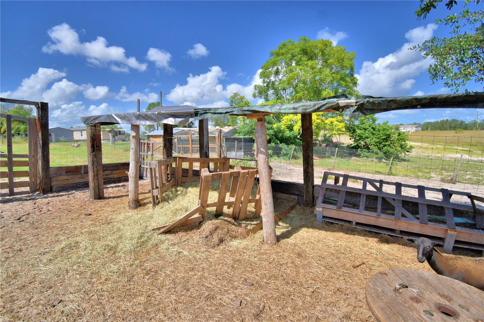 TIGER CREEK GROVES - Residential