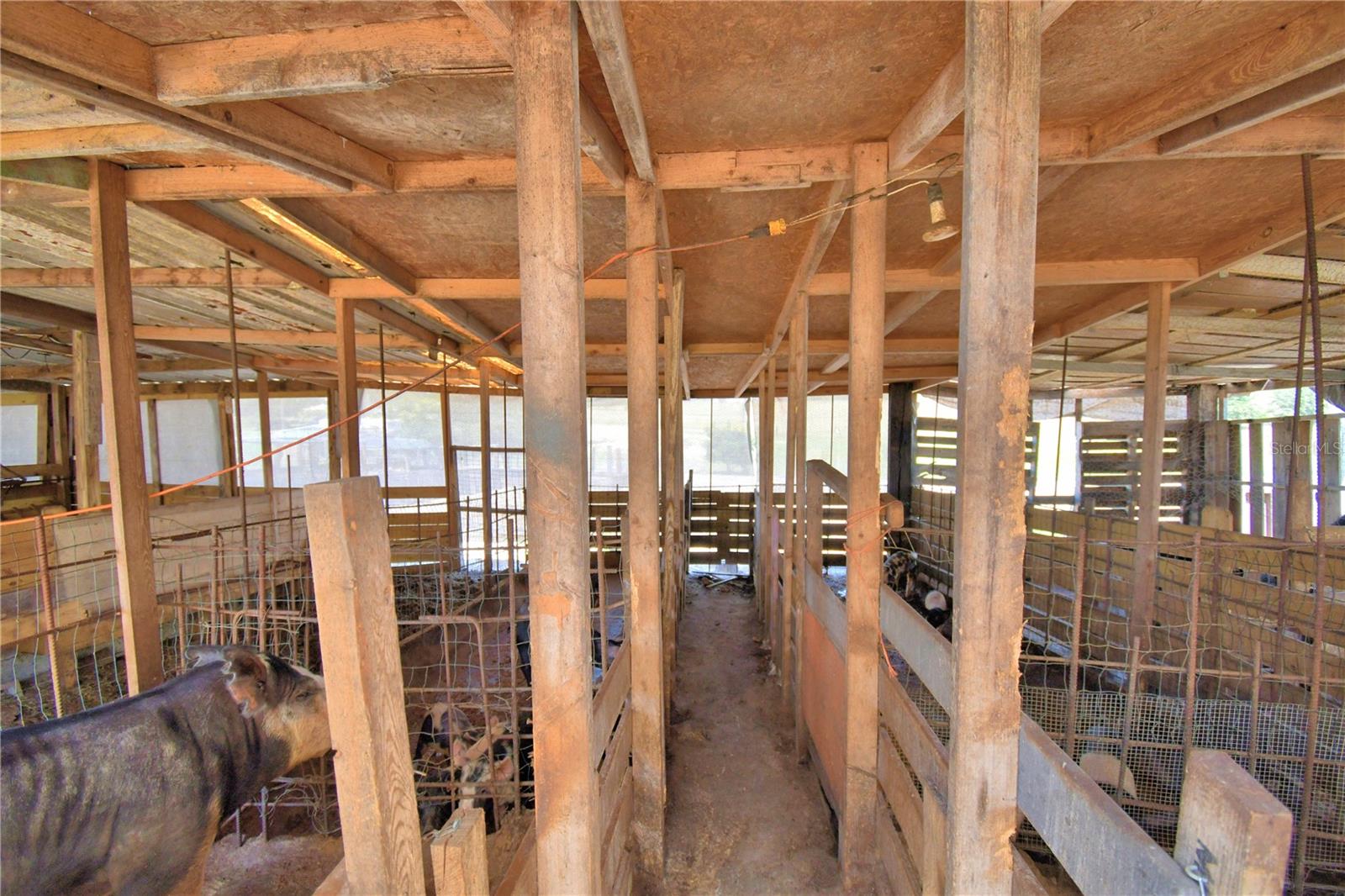 TIGER CREEK GROVES - Residential