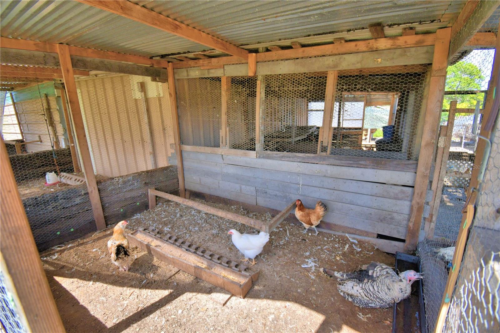 TIGER CREEK GROVES - Residential