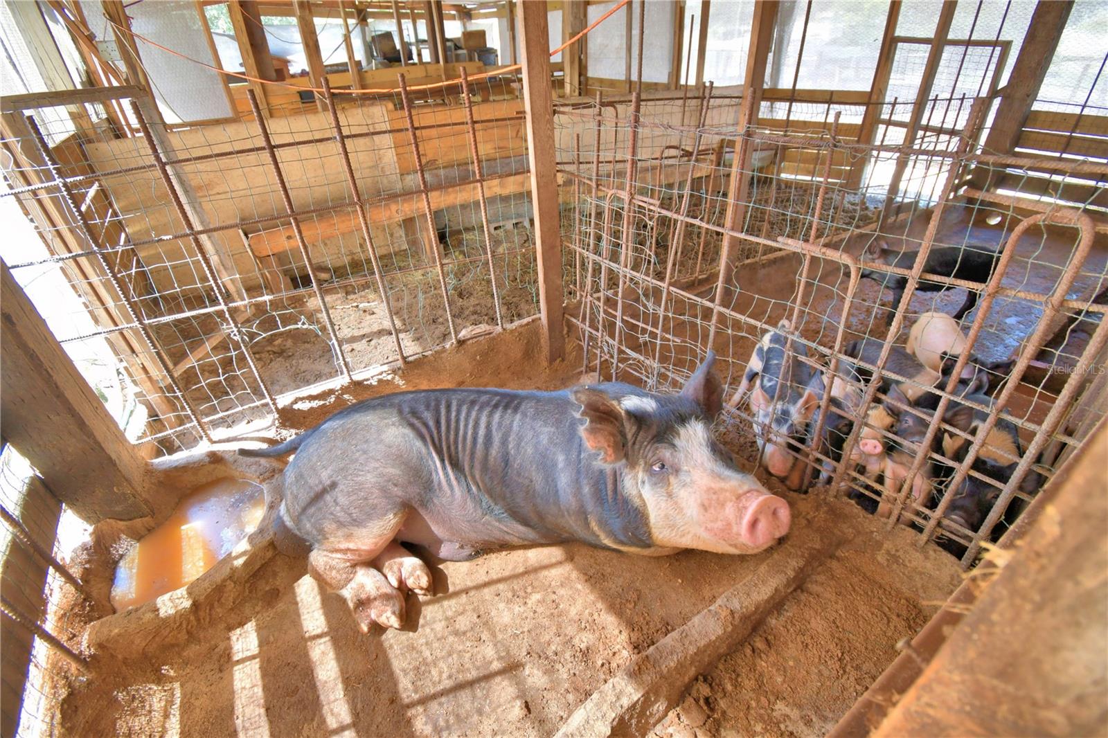 TIGER CREEK GROVES - Residential