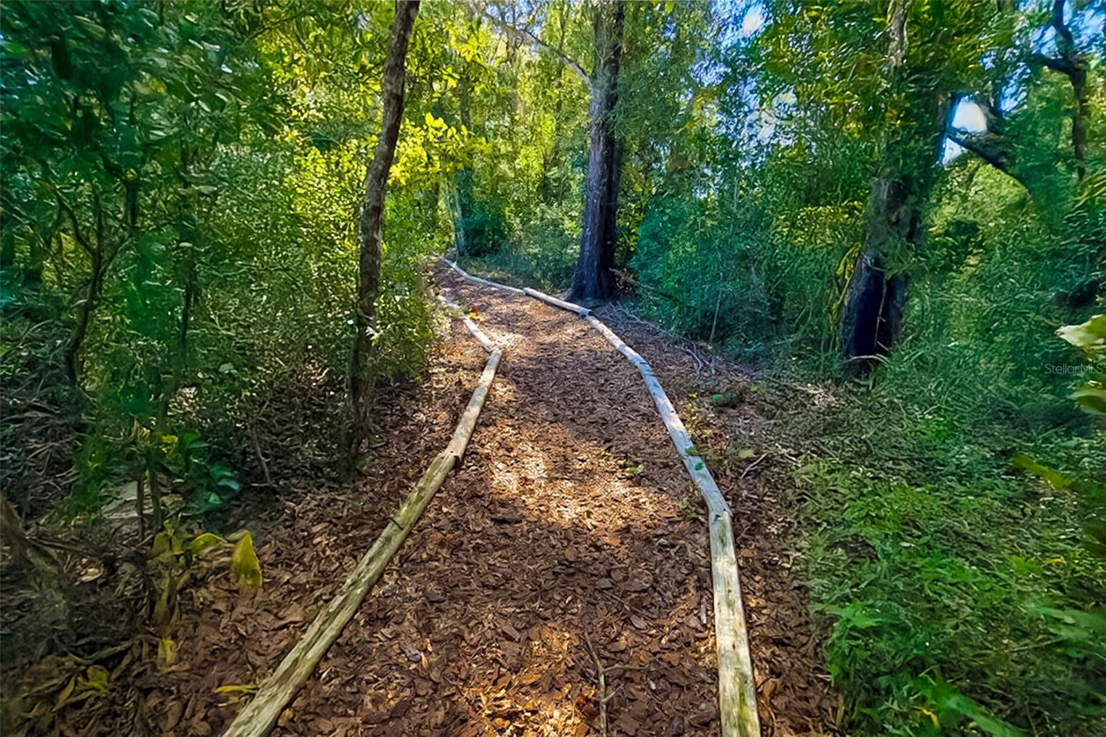 CANOPY TERRACE - Residential