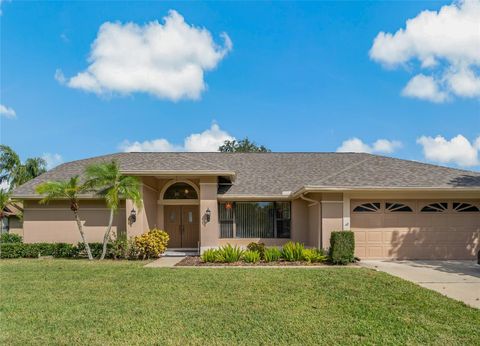 A home in TARPON SPRINGS