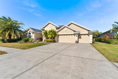 A home in WESLEY CHAPEL