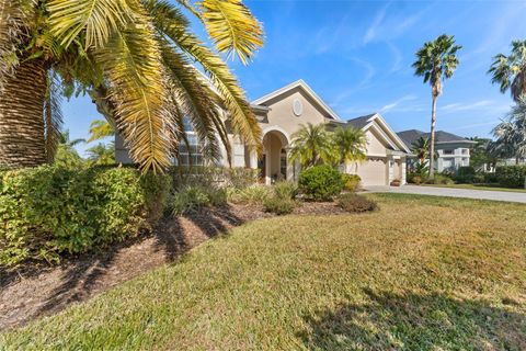 A home in WESLEY CHAPEL