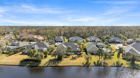 A home in WESLEY CHAPEL