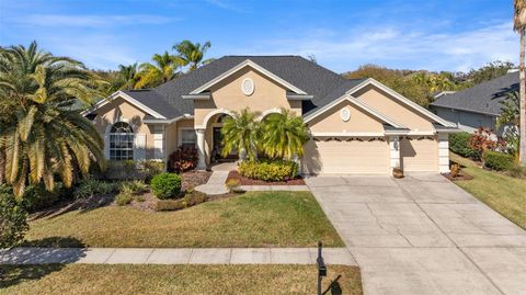 A home in WESLEY CHAPEL