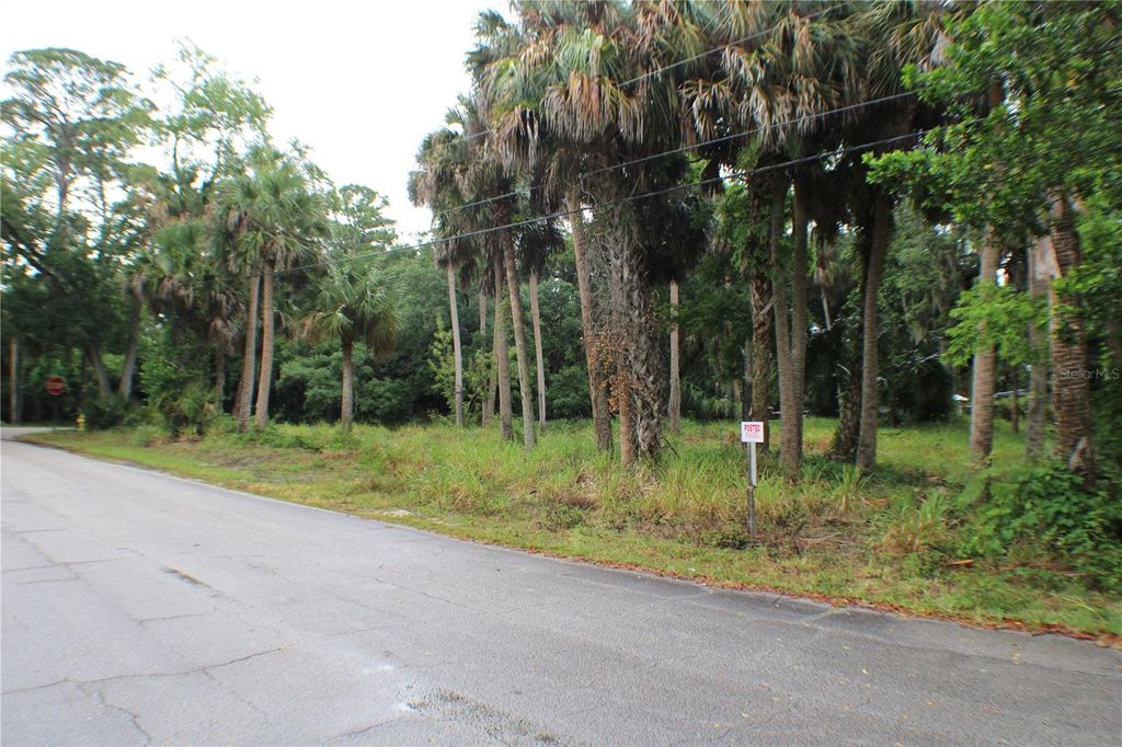 Photo of 48 Valley Street, Port Orange, FL 32129 (MLS # NS1081559)