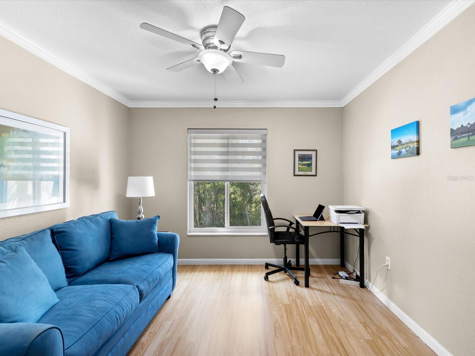 PINE RIDGE AT LAKE TARPON VILLAGE - Residential