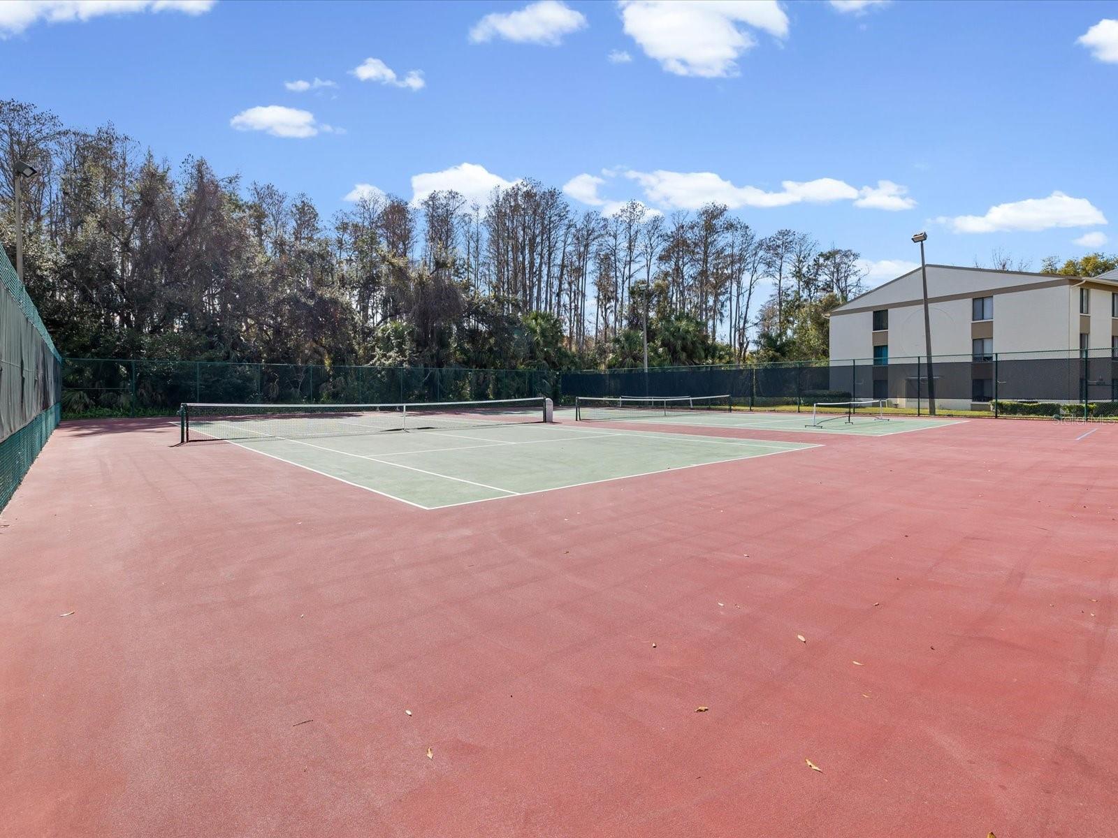 PINE RIDGE AT LAKE TARPON VILLAGE - Residential