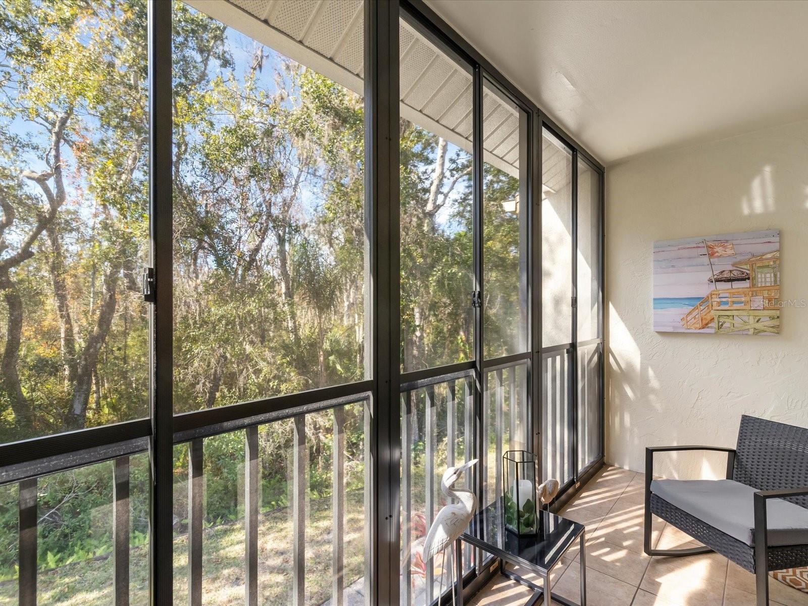 PINE RIDGE AT LAKE TARPON VILLAGE - Residential