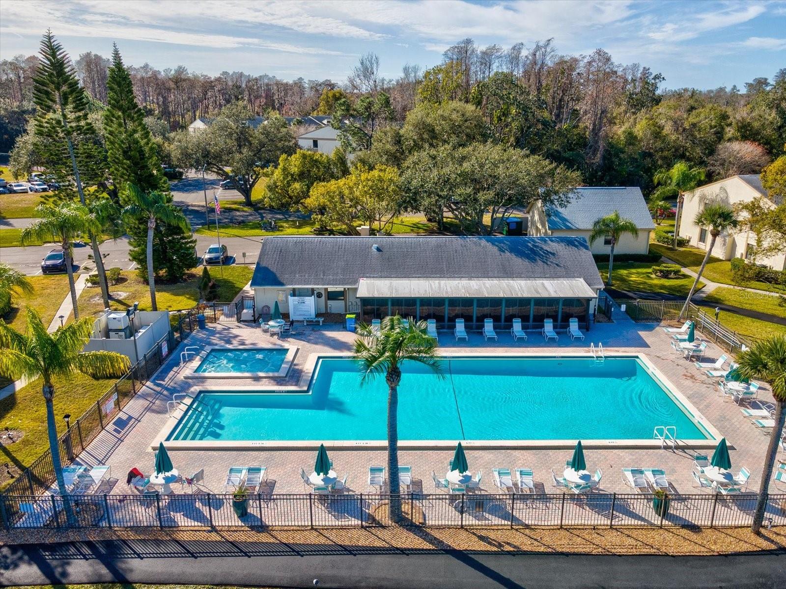 PINE RIDGE AT LAKE TARPON VILLAGE - Residential