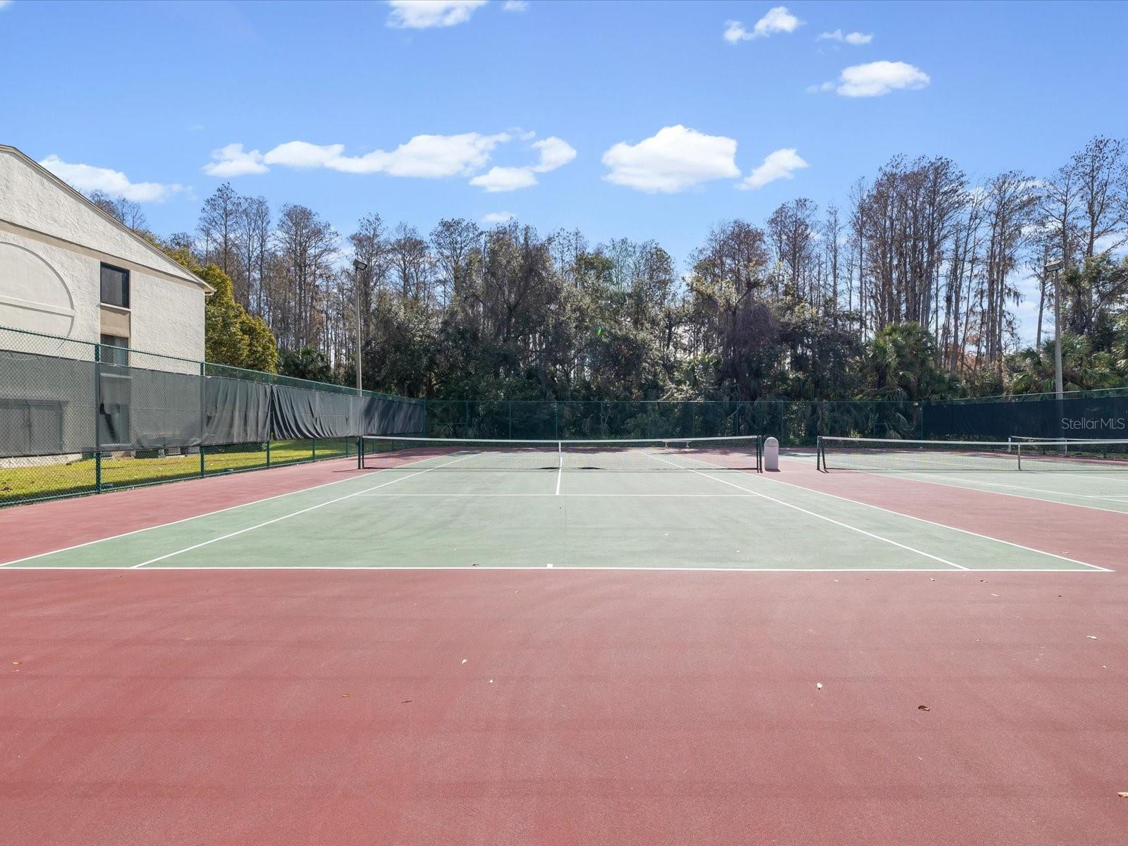 PINE RIDGE AT LAKE TARPON VILLAGE - Residential