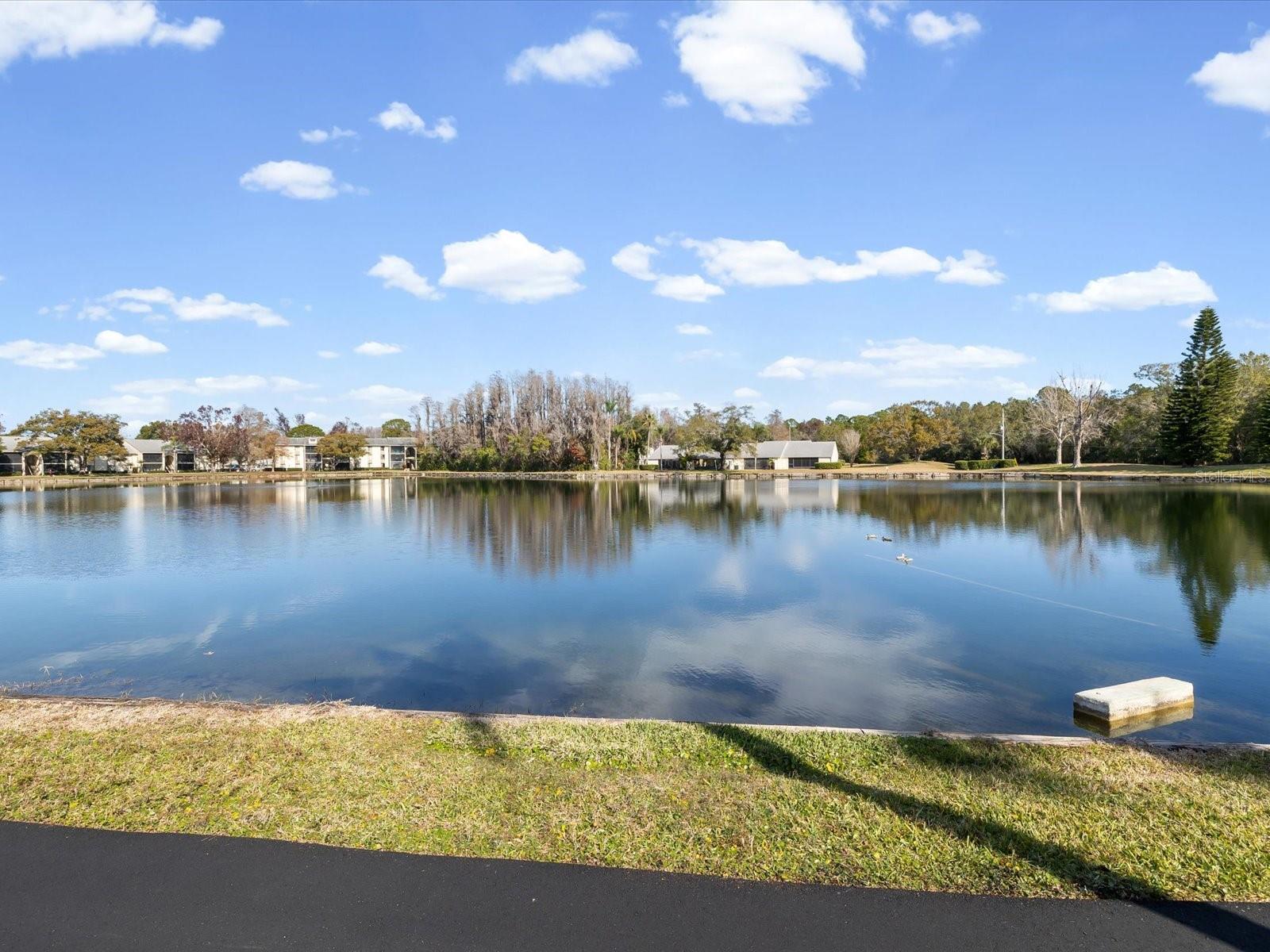 PINE RIDGE AT LAKE TARPON VILLAGE - Residential