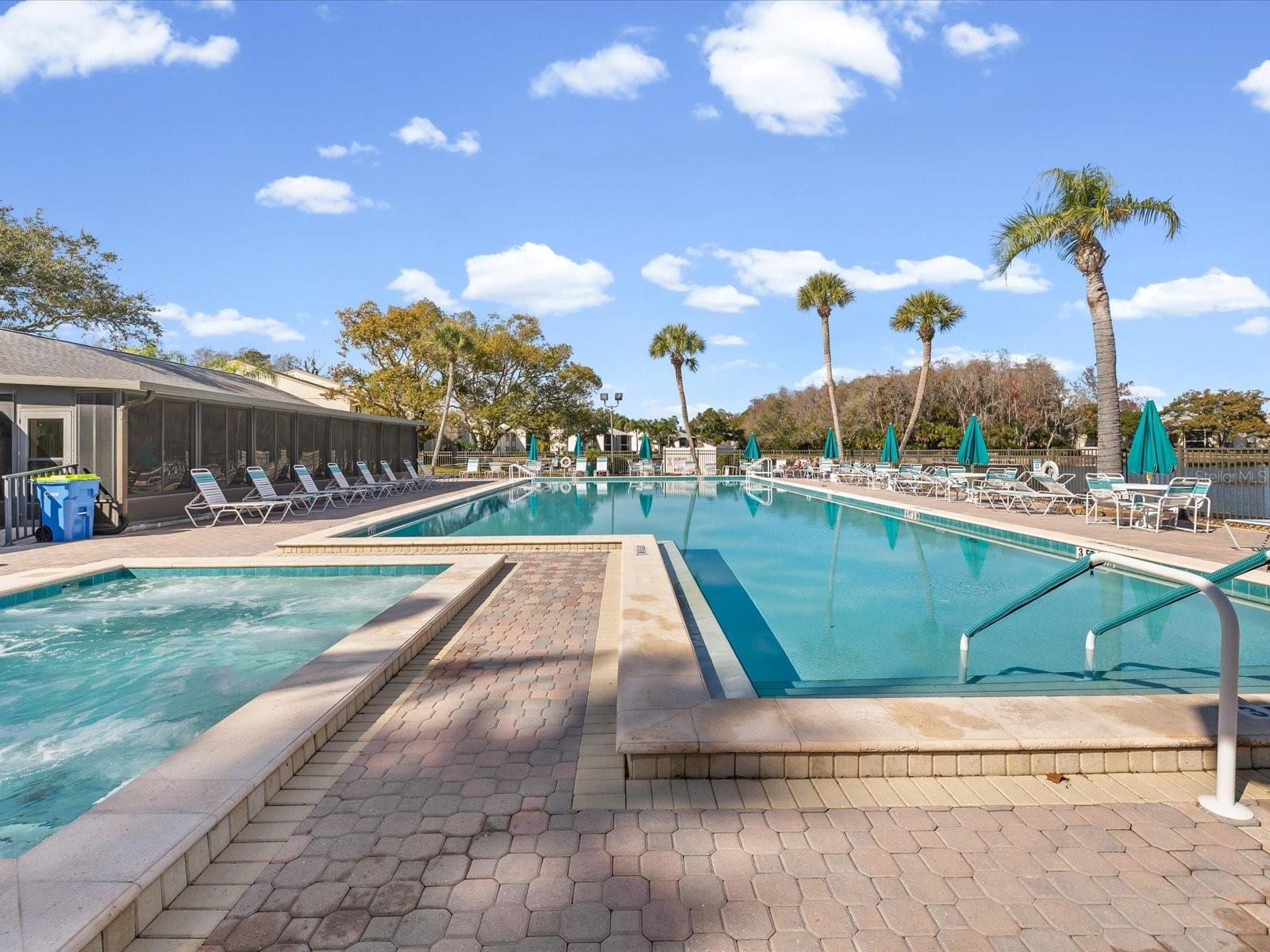 PINE RIDGE AT LAKE TARPON VILLAGE - Residential