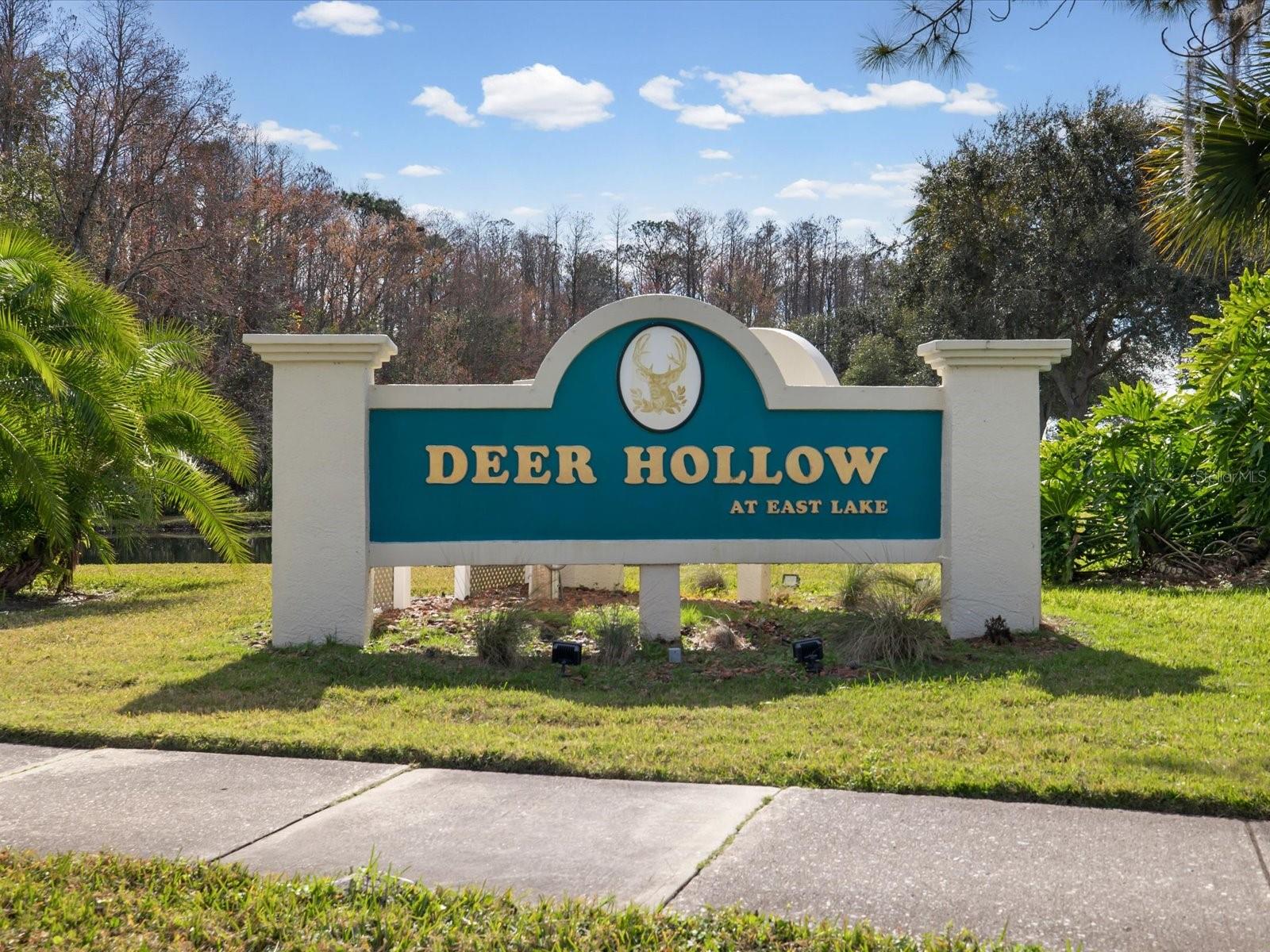 PINE RIDGE AT LAKE TARPON VILLAGE - Residential