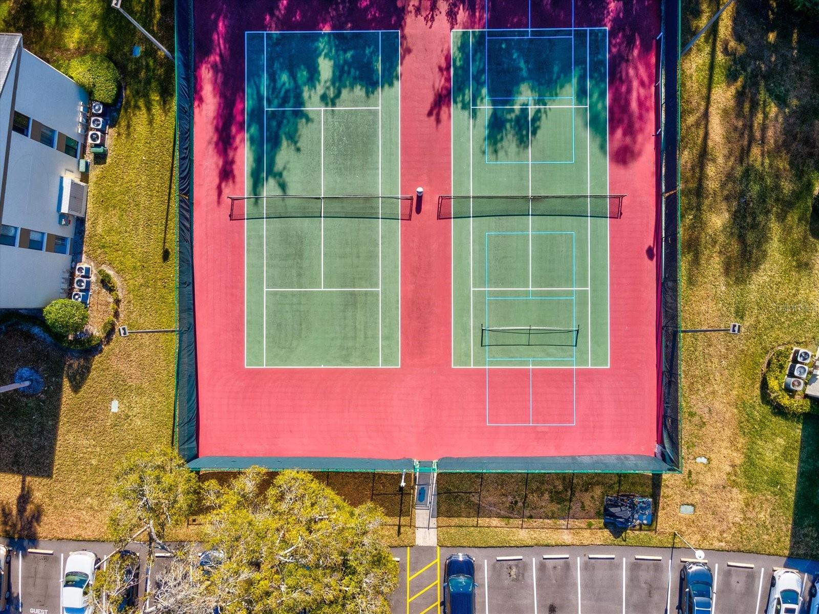 PINE RIDGE AT LAKE TARPON VILLAGE - Residential