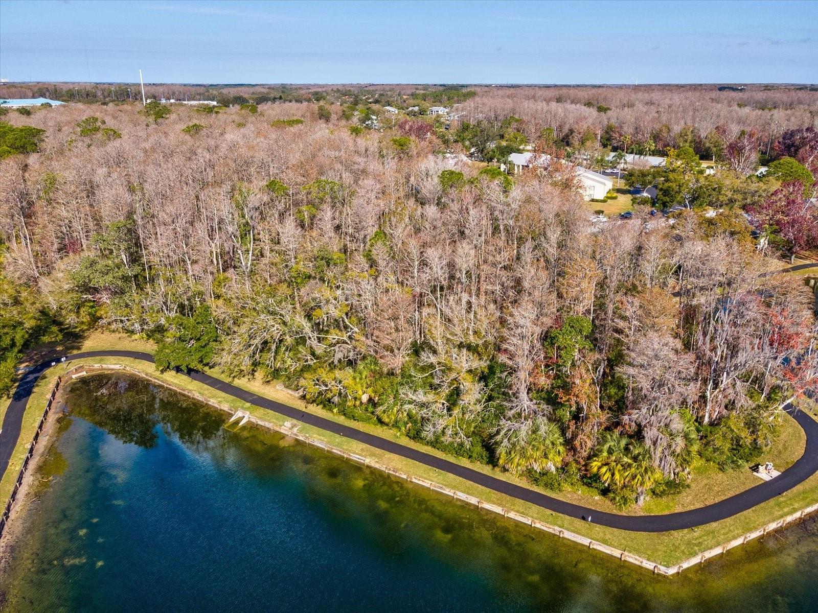 PINE RIDGE AT LAKE TARPON VILLAGE - Residential