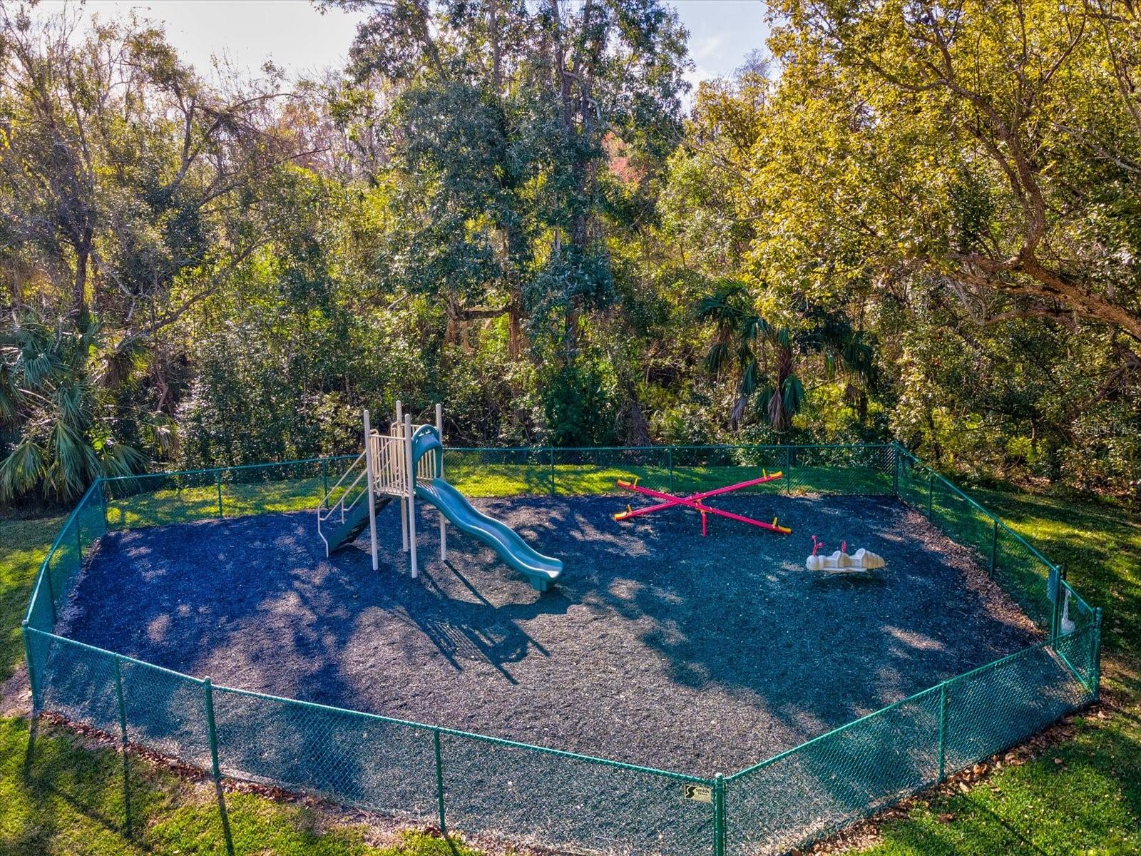 PINE RIDGE AT LAKE TARPON VILLAGE - Residential