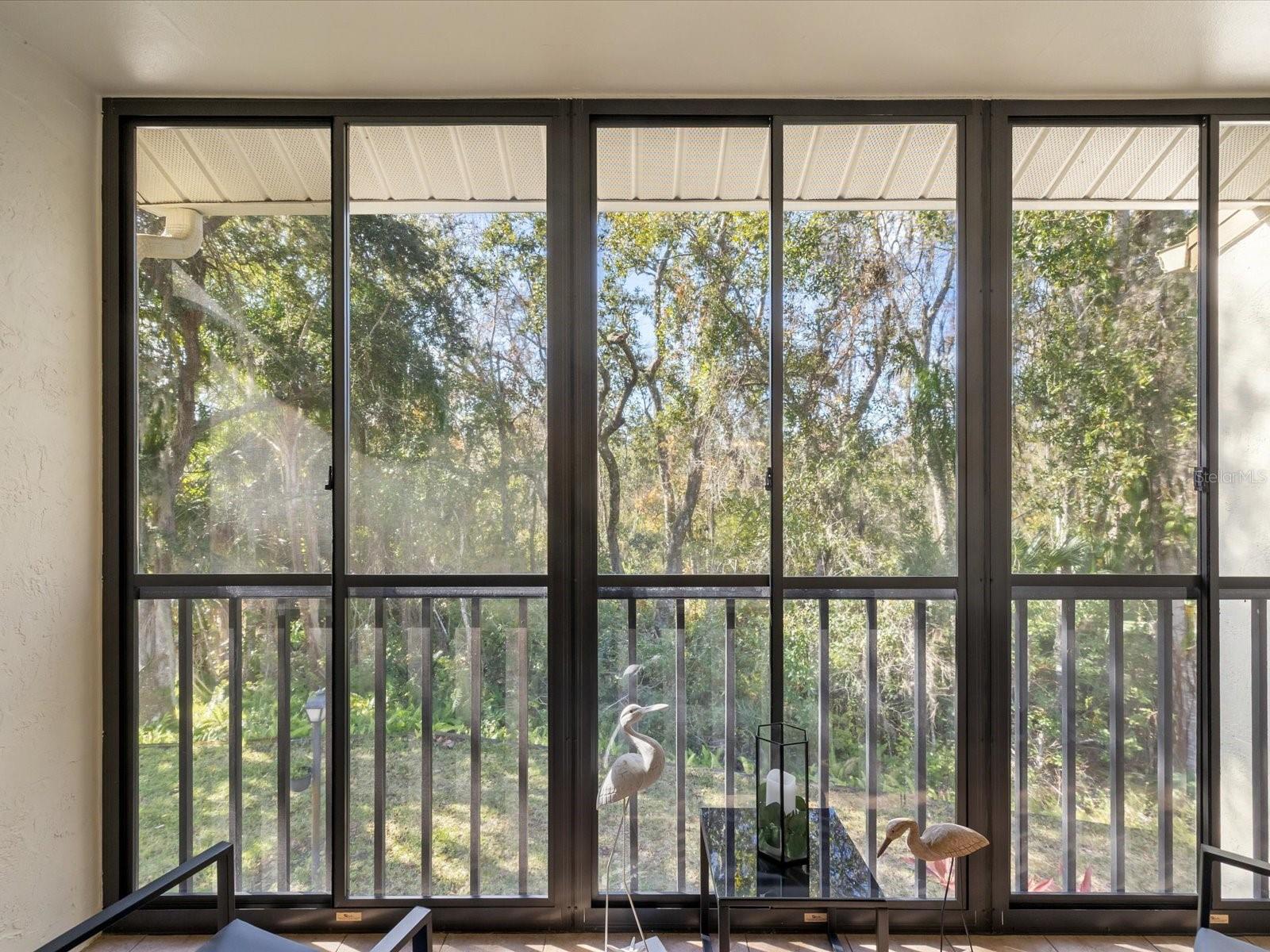 PINE RIDGE AT LAKE TARPON VILLAGE - Residential