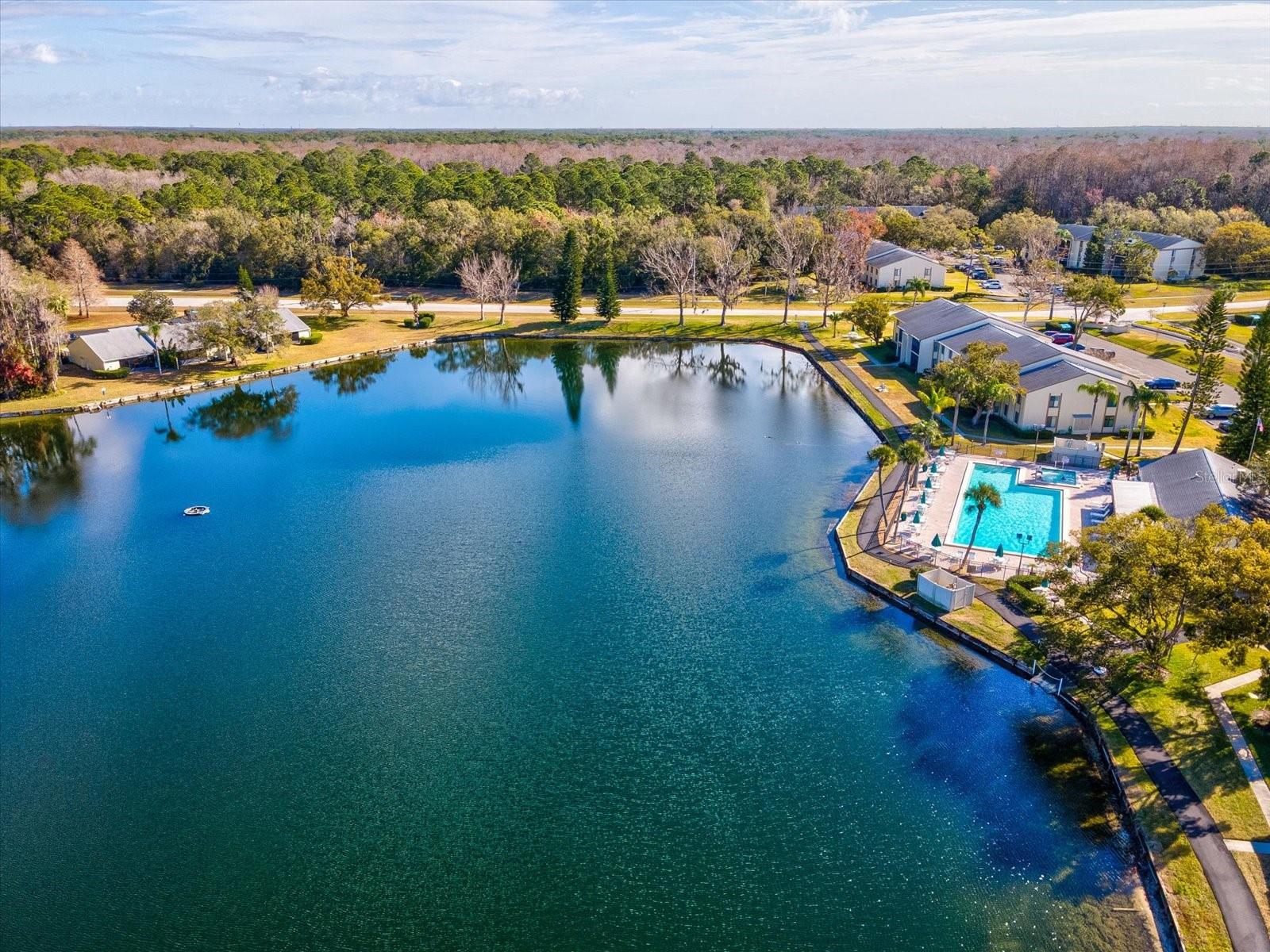 PINE RIDGE AT LAKE TARPON VILLAGE - Residential