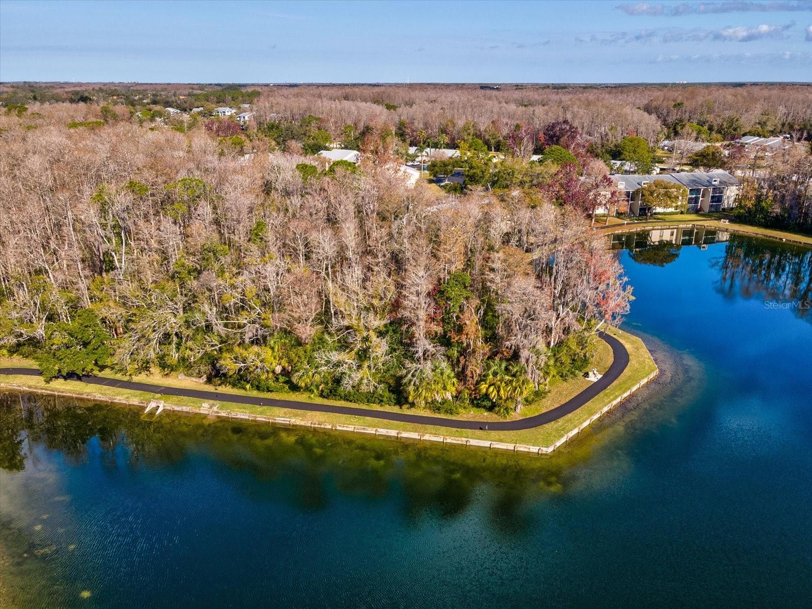 PINE RIDGE AT LAKE TARPON VILLAGE - Residential