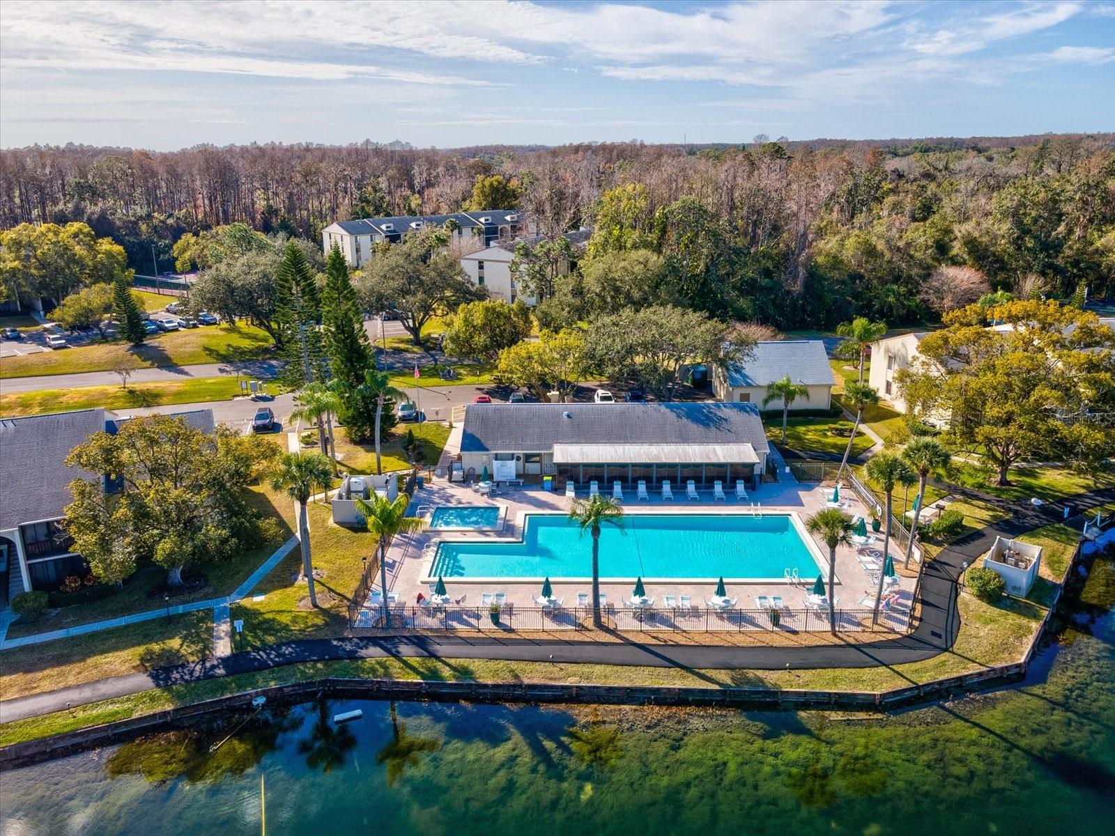 PINE RIDGE AT LAKE TARPON VILLAGE - Residential