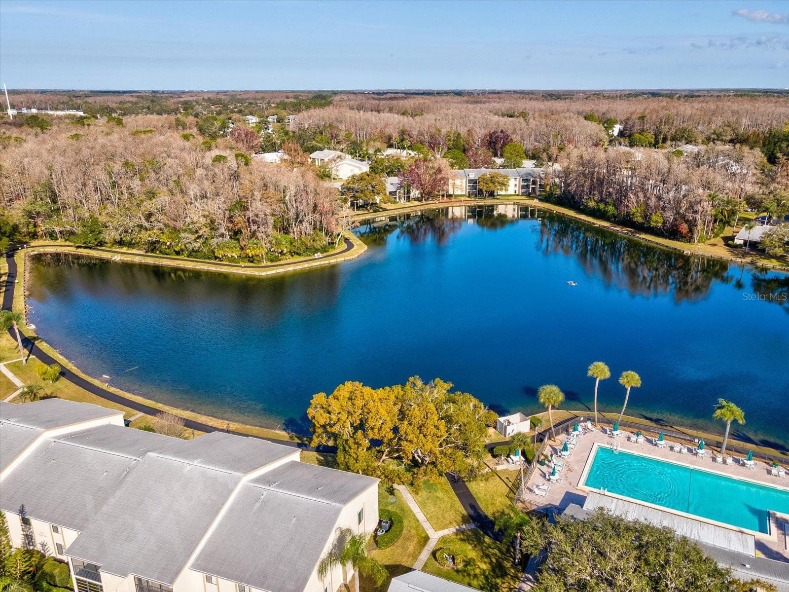 PINE RIDGE AT LAKE TARPON VILLAGE - Residential