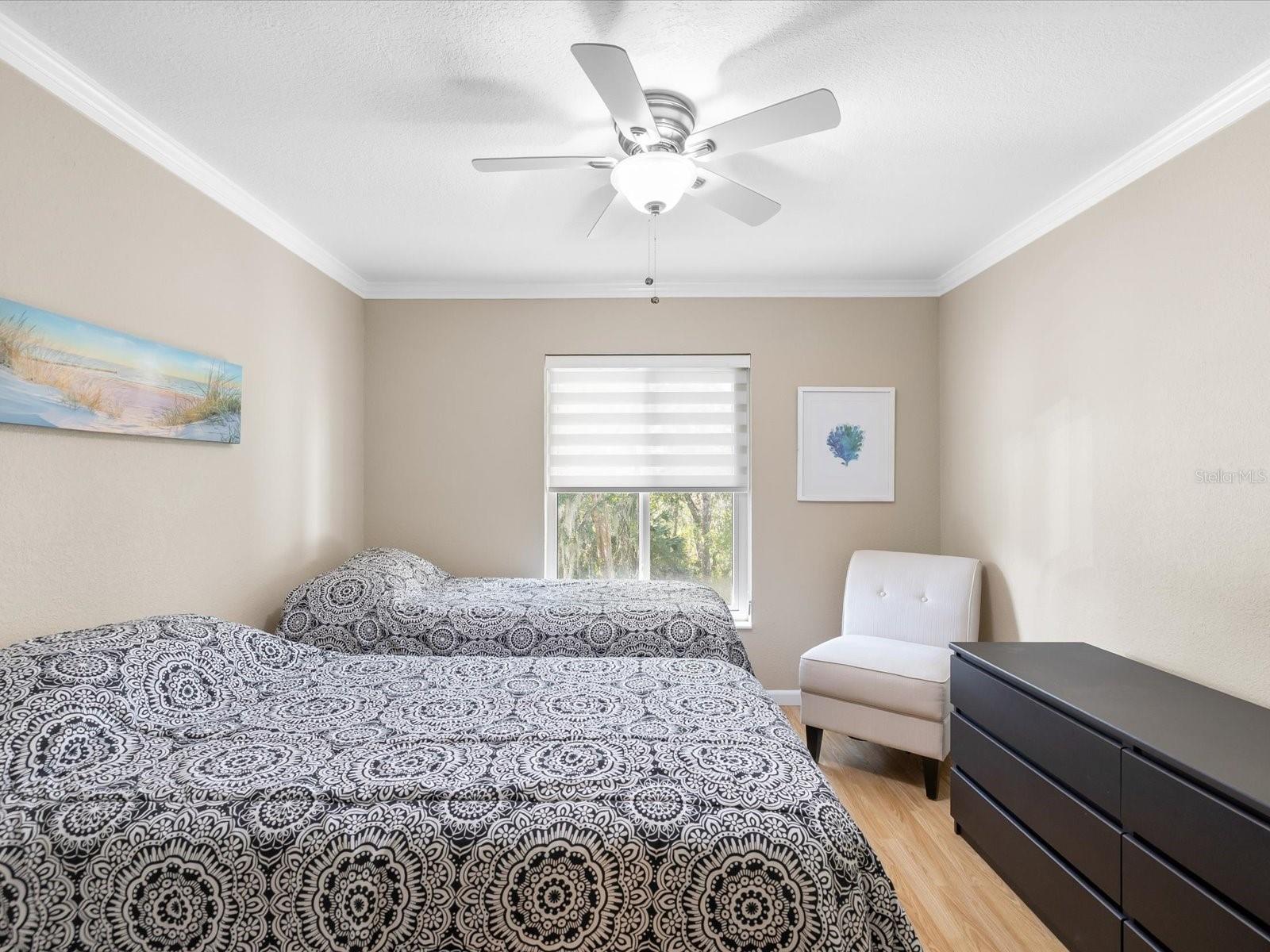 PINE RIDGE AT LAKE TARPON VILLAGE - Residential