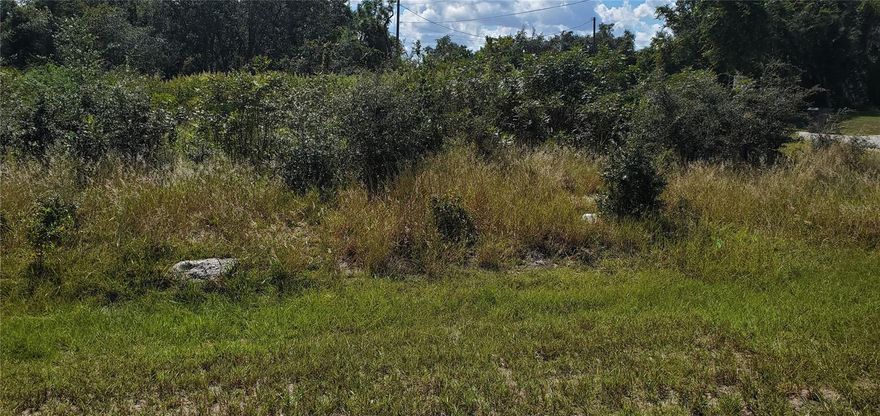 Fantastic buy on the beautiful corner lot. The area is developing quickly. Don't wait too long. Priced right for a quick sale. Homes are being built all around this property. Call and see today!