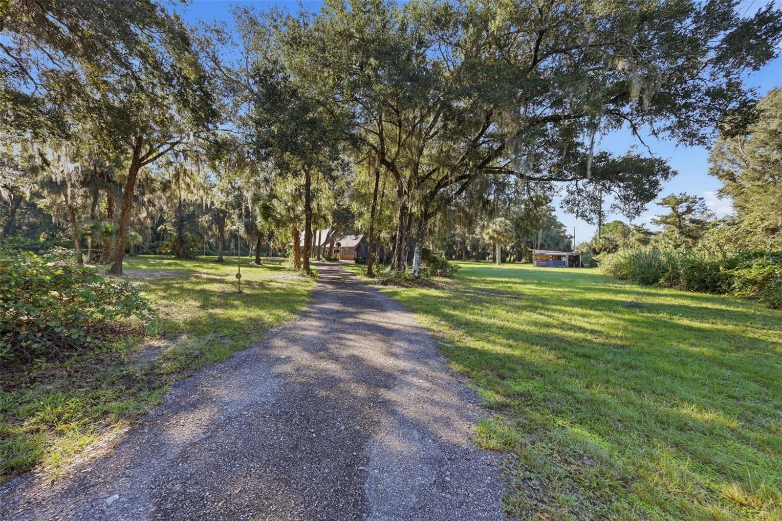 2290 MUD LAKE ROAD