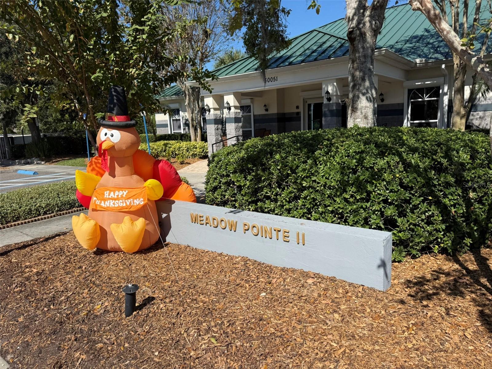 MEADOW POINTE PRCL 16 - Residential