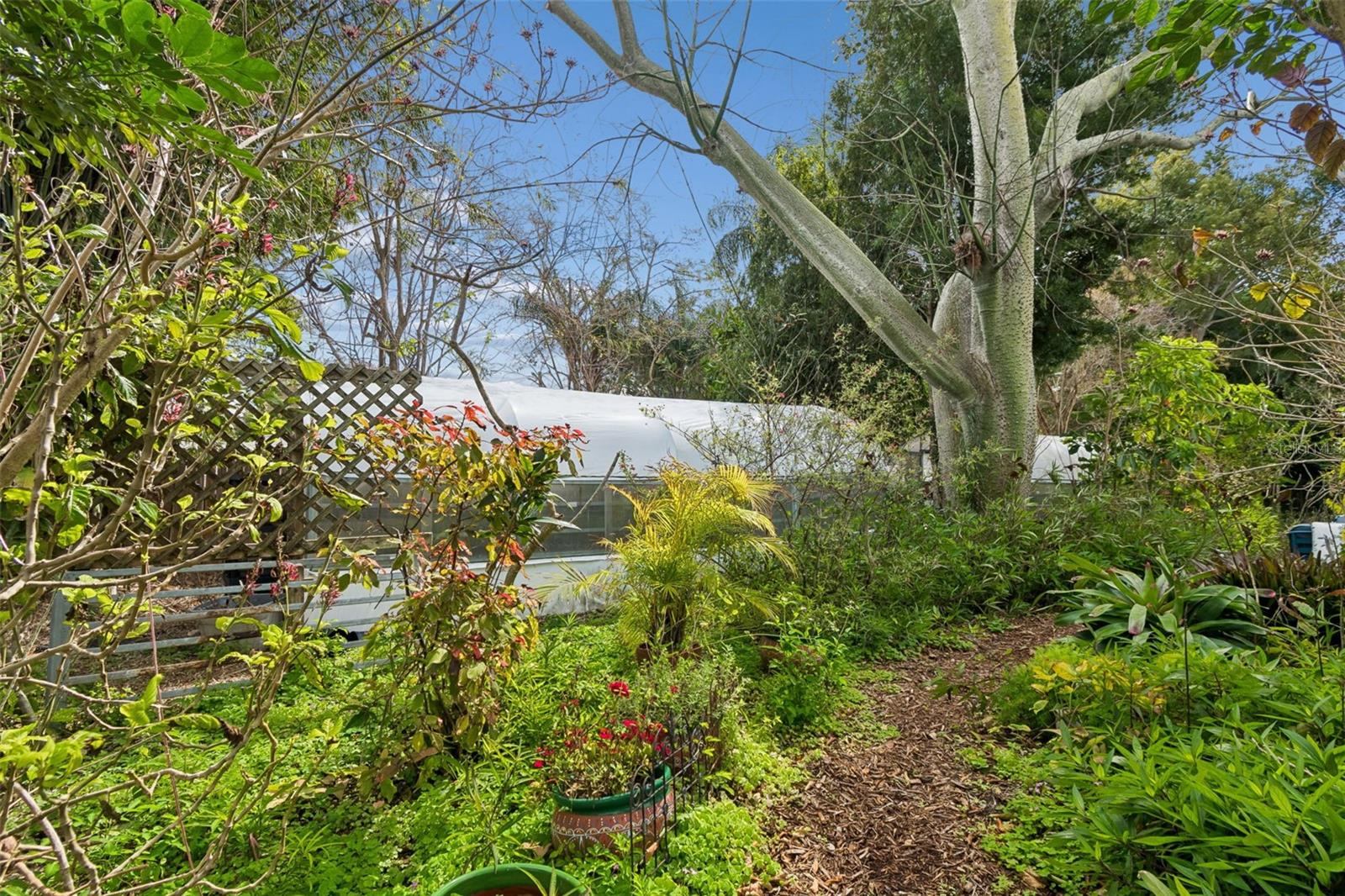 BLUFFS THE - Residential