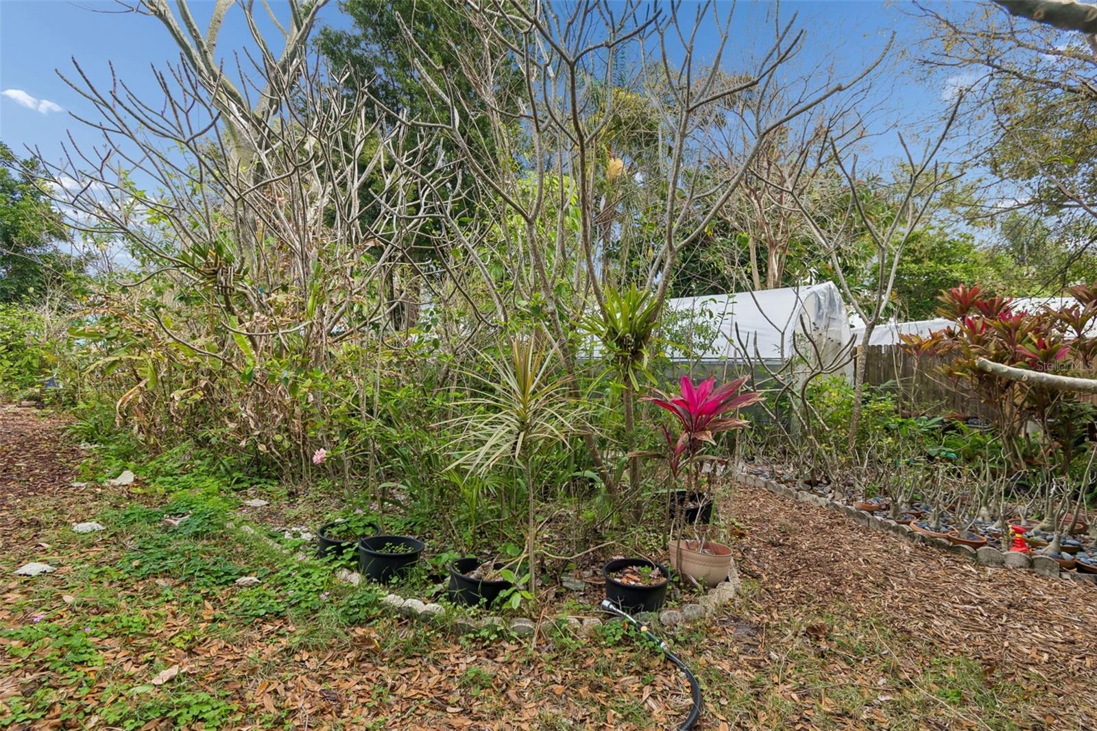 BLUFFS THE - Residential