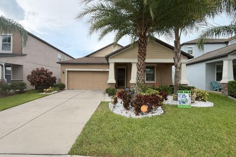 Photo of 10612 Great Cormorant Drive, Riverview, FL 33579 (MLS # TB8409499)