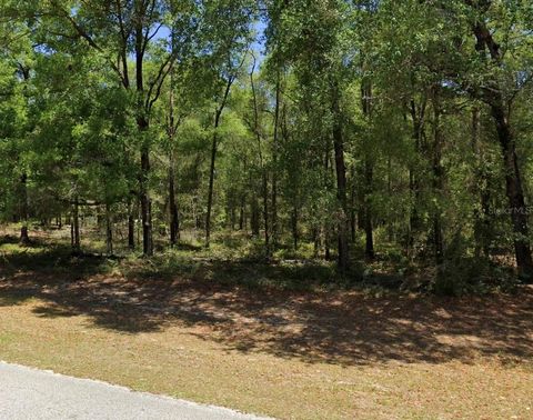 Photo of 00 SW 102nd Street Road, Dunnellon, FL 34432 (MLS # OM722201)