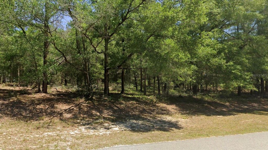 Photo of 00 SW 102nd Street Road, Dunnellon, FL 34432 (MLS # OM722201)