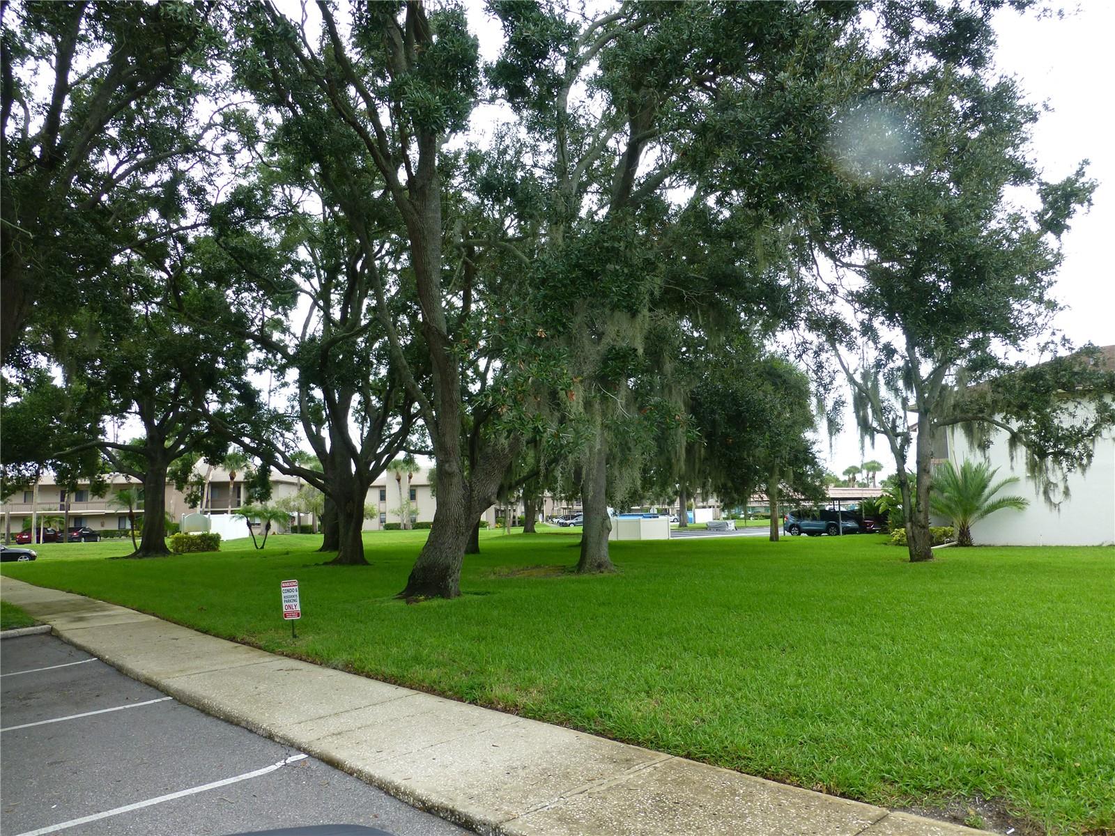 EAST LAKE WOODLANDS CONDO - Residential Lease
