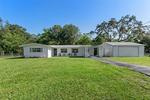 A home in DADE CITY