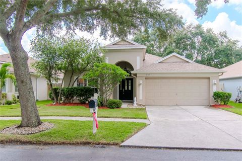 A home in TAMPA