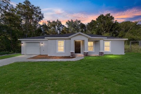 Photo of 3427 SE 138th Place, Summerfield, FL 34491 (MLS # OM713477)