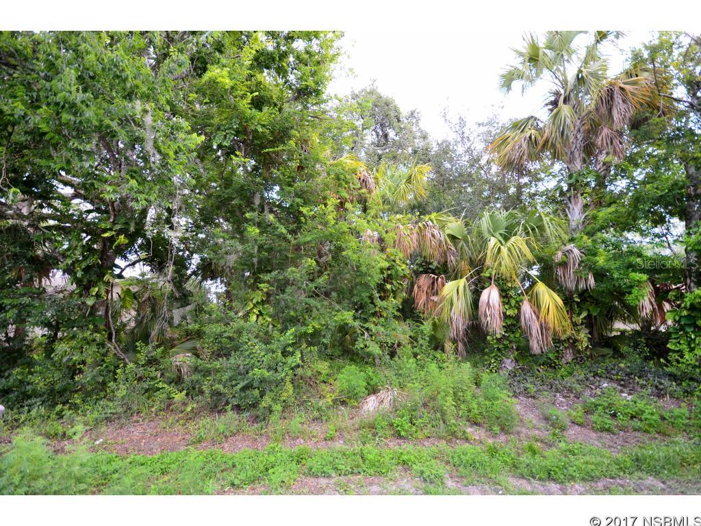 Florida Shores 01 - Land