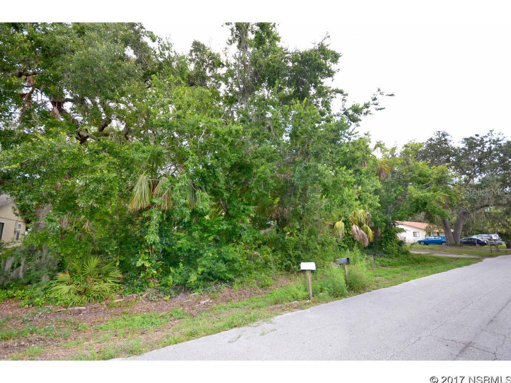 Florida Shores 01 - Land