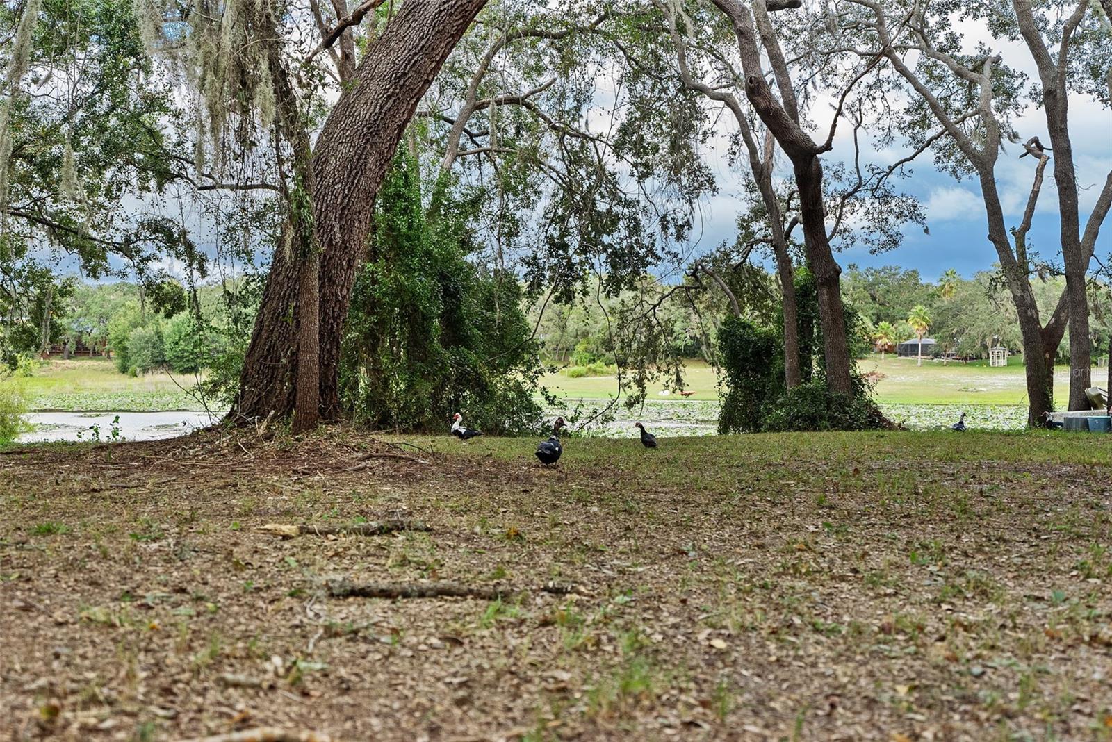 SUNCOAST HIGHLANDS - Residential Lease