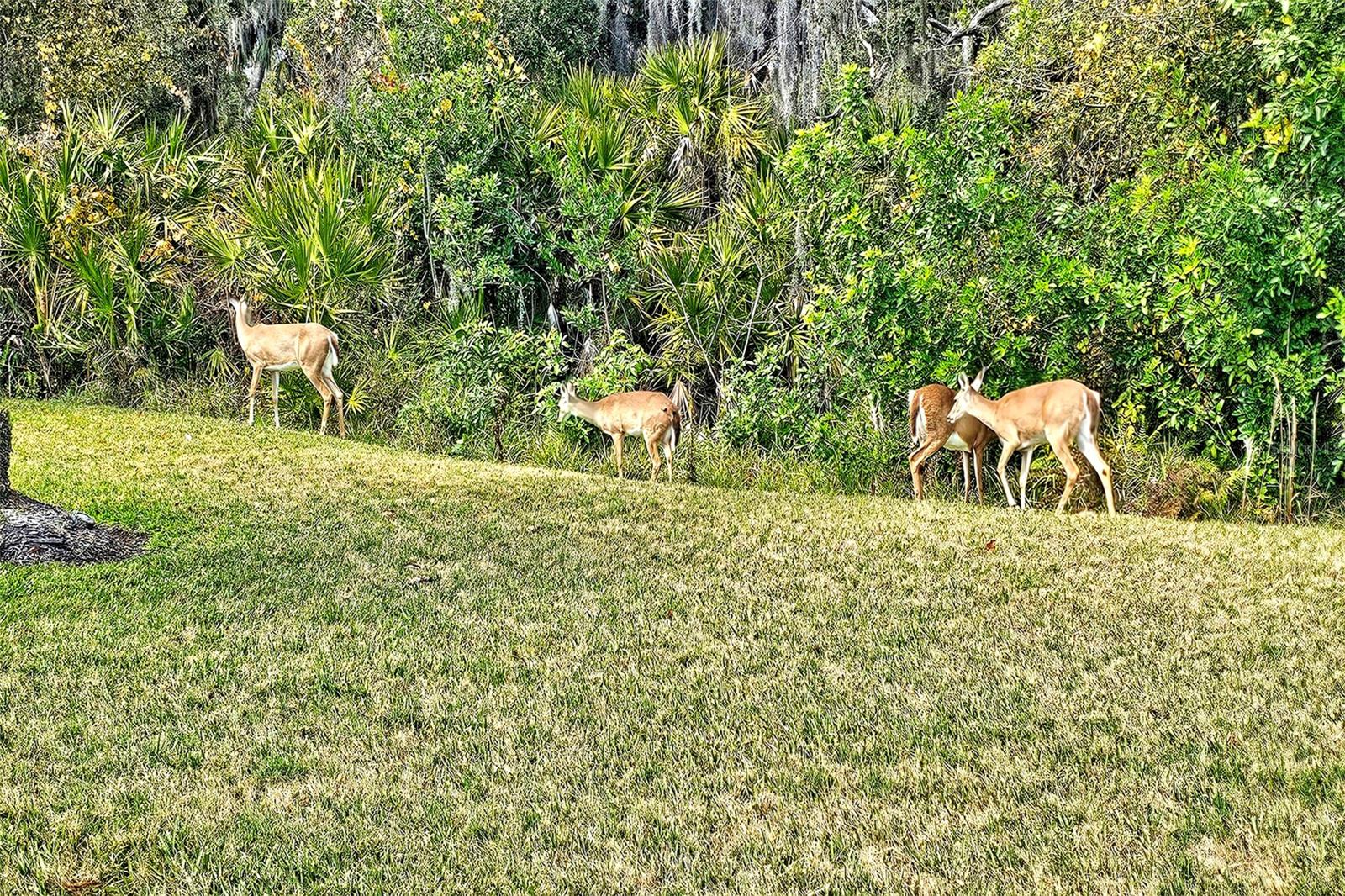 HERITAGE OAKS GOLF & COUNTRY CLUB - Residential